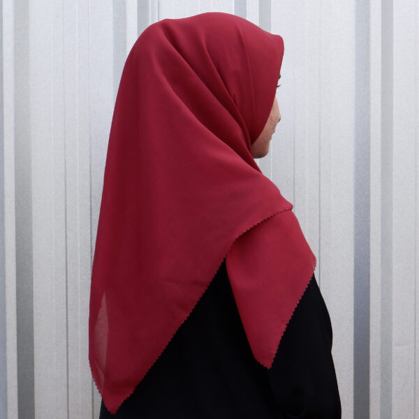Hara - Model - Maroon 02